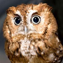 mosir01's profile picture. 日々、新しいことを見つけて、自分のものにしていくのが楽しみです。合間にNAVERまとめを少しずつ作成しています。科学/社会問題/オーディオ/怖い物/時事ネタ