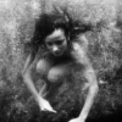 fraunoss's profile picture. 