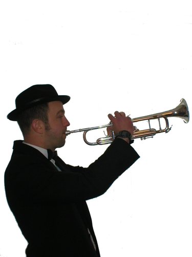 Music teacher and Music Workshop leader for Sussex Music workshops