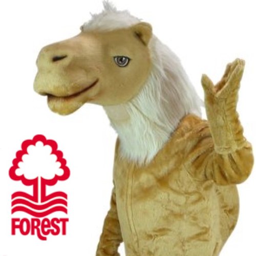 Hi I'm Baba the Camel, the new Forest mascot #NFFC #COYR