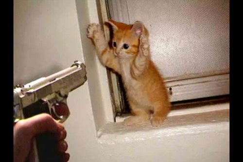 ryanbriddock's profile picture. 