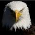 ß♂b_©☼unt®y (@bobcountry) Twitter profile photo