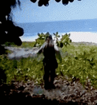 Fan Club of Brazil dedicated to the movie Pirates of the Caribbean
Since: 03/11/12
Owner: @MissLilithS