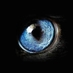 Farouk Pandor (@faroukpandor) Twitter profile photo Farouk Pandor (@faroukpandor) Twitter profile photo
