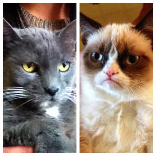 DontTellMEyo's profile picture. I don't like to be told to do shit