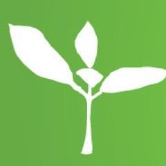 Always seeking church planters | We start and grow churches, and transform communities | Planting model agnostic | #churchplanting | MissioChurch podcast