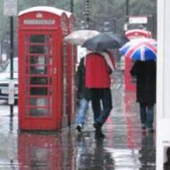 BritRain2's profile picture. Itsy Bitsy Spider