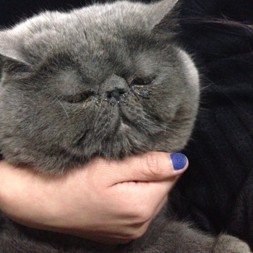 zhaiyw's profile picture. Looking for trusted tester, if you want free product, PM me. Refund after review. We treat you honestly and hope you can treat us honestly too