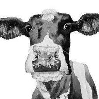 Vanessa Rigg (@creativecow2) 's Twitter Profile