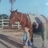 hugomario84's profile image
