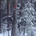 Ellen Westby - @WestbyEllen - Twitter