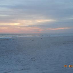 cherylhayes1973's profile picture. 🧐