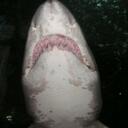 Patrick chow - @acetron - Twitter