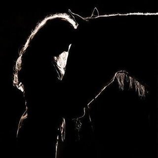 Perfecte account als je helemaal paarden geakk bent ♥ ! Mooie tweets over paarden - pony's - veulentjes !