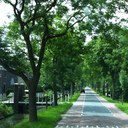 Debbie Brandon - @deborabrandon - Twitter