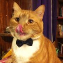 Samuel El Jackson - @SamSonofaCat - Twitter