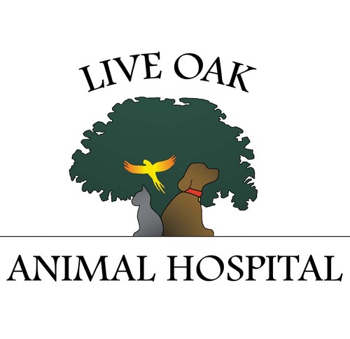 LiveOakAnimal's profile picture. 