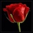 HADEEL408's profile image