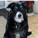 Gail Munn - @rhappers - Twitter