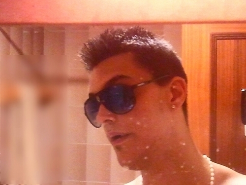 theam pitbull