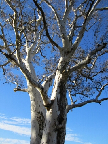 2plus2plus1's profile picture. 