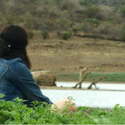 segovianoja's profile picture. Mi soliloquio...