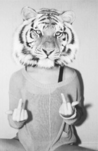 YouMustHaveThat's profile picture. You must have this shit.