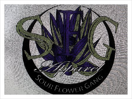 Clothing Line Offical Affilation with @HoodSkala #SFGPromotions #SourFlowerGang #HoodSkala-TheBrand #CrossPromotion #KolionEnterprises #TeamTakeOver