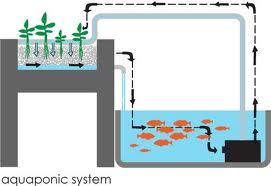 Offgridinc's profile picture. We at Off Grid Inc. believe the future of humanity is in sustainability. That's why we help our clients produce their own energy. We make you OFF GRID!