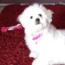 ralph donato - @mehd18641 - Twitter