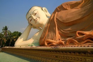 sciencegeek3379's profile picture. 