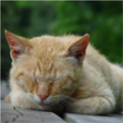 つむねこ Yamadami8 Twitter つむねこ Yamadami8 Twitter