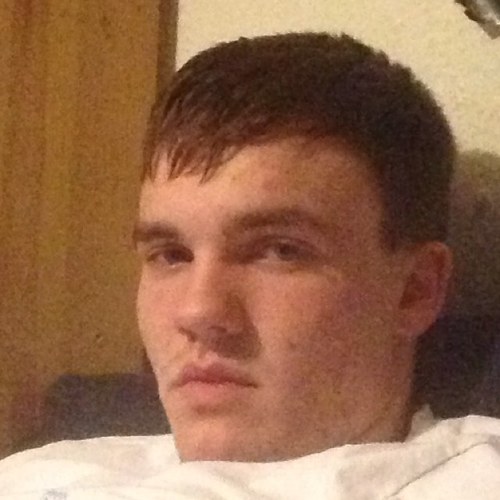 alexraybeer's profile picture. 