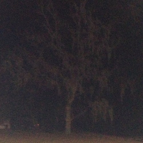 laineybrainey's profile picture. No, I do not want to listen to any more Pearl Jam.