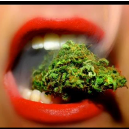 always_rolling's profile picture. peace love and drugs