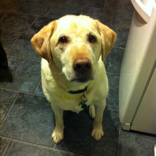 mamagsutton's profile picture. 