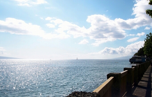 xBRUN3Rx's profile picture. 