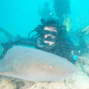 Melanie Truman - @MelanieTrumanFl - Twitter