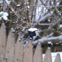 Michael Craft - @Retro_Crafty - Twitter