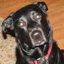 Cari Taylor - @cari_taylor - Twitter