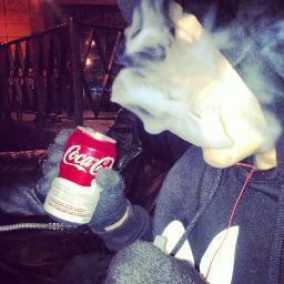 I do a lot of shit, I'm new to twitter, I'm trying to get followers.