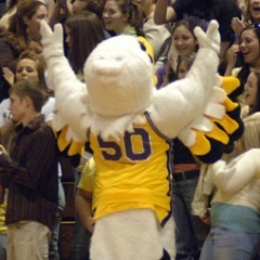 NazGoldenFlyer's profile picture. #Nazareth #GoldenFlyers