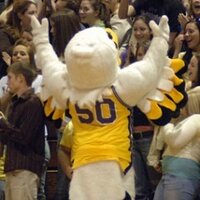 Golden Flyer (@nazgoldenflyer) 's Twitter Profile