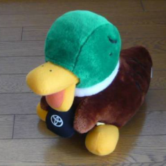 strayDuck's profile picture. 意識の高いカモが、技術情報とカモ画像をお送りします