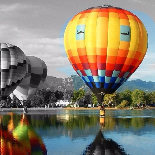 Lau_Arrow's profile picture. “La risa es una chispa divina, capaz de hacer que surja lo inesperado”