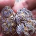 Coffee and Mary Jane (@coffeenmaryjane) Twitter profile photo