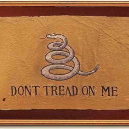 dogmeat480's profile picture. Tyranny has forced a number of revolutions through the course of history. Prepare for a new American Revolution - Prepare for Revolution against Tyranny.