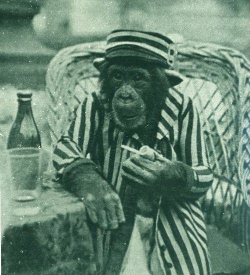 flinty77's profile picture. 