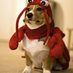 Kraken (@krakenlagginle1) Twitter profile photo Kraken (@krakenlagginle1) Twitter profile photo