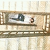lichis (@lichis005) Twitter profile photo lichis (@lichis005) Twitter profile photo